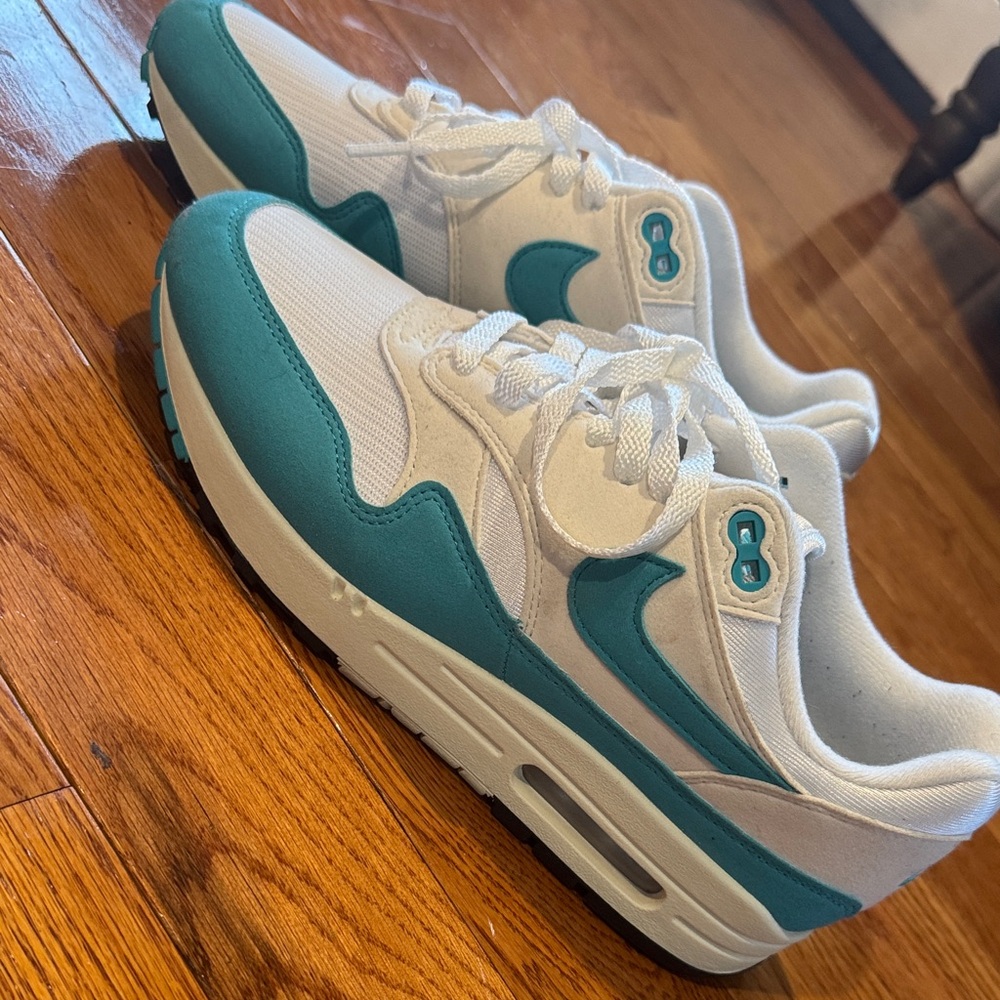 Women’s Nike Air Max 1 Dusty Cactus Sneakers